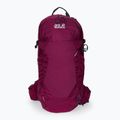 Рюкзак туристичний Jack Wolfskin Crosstrail ST 22 l бордовий 2009562_2222 2