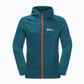 Флісова кофта чоловіча Jack Wolfskin Hydro Grid Hooded FZ блакитна 1710002 6