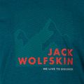 Футболка трекінгова чоловіча Jack Wolfskin Hiking Graphic блакитна 1808761_4133 6