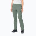 Штани софтшел жіночі Jack Wolfskin Glastal Zip Off зелені 1508151_4151_042