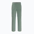 Штани софтшел жіночі Jack Wolfskin Glastal Zip Off зелені 1508151_4151_042 5