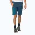 Штани софтшел чоловічі Jack Wolfskin Glastal Zip Away сині 1508301 3