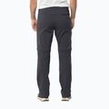 Штани софтшел чоловічі Jack Wolfskin Glastal Zip Away сірі 1508301 2