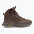 Черевики трекінгові чоловічі Jack Wolfskin Terraquest Texapore Mid bear 2