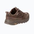 Чоловічі трекінгові черевики Jack Wolfskin Terraquest Texapore Low gecko bear 2