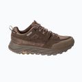 Чоловічі трекінгові черевики Jack Wolfskin Terraquest Texapore Low gecko bear 3