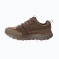 Чоловічі трекінгові черевики Jack Wolfskin Terraquest Texapore Low gecko bear 4