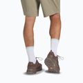 Чоловічі трекінгові черевики Jack Wolfskin Terraquest Texapore Low gecko bear 9