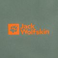 Чоловічі трекінгові штани Jack Wolfskin Alpspitze Tour hedge green 8