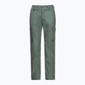 Штани трекінгові чоловічі Jack Wolfskin Barrier hedge green 6