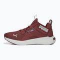 Кросівки для бігу жіночі PUMA Softride Enzo Nxt бордові 195235 17 11