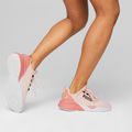 Кросівки для бігу жіночі PUMA Retaliate Mesh rose dust/hibiscus flower/puma black 16
