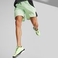 Кросівки для бігу чоловічі PUMA Velocity NITRO 2 Run 75 fast yellow/puma black 20