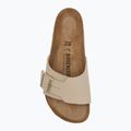 Жіночі шльопанці BIRKENSTOCK Catalina BFBC Regular з піщаним замком 5