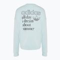 Кофта жіноча adidas Graphic almost blue 2