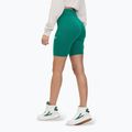Легінси жіночі FILA Buckautal aventurine 3