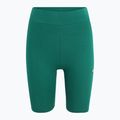 Легінси жіночі FILA Buckautal aventurine 5