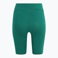 Легінси жіночі FILA Buckautal aventurine 6