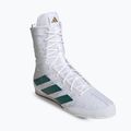 Кросівки боксерські adidas Box Hog 4 cloud white/collegiate green/core black