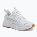 Кросівки жіночі PUMA Amplifier puma white/puma gold