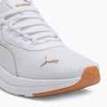 Кросівки жіночі PUMA Amplifier puma white/puma gold 7