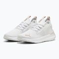 Кросівки для бігу жіночі PUMA Softride Symmetry Fuzion Feather gray/mauve mist/rose gold