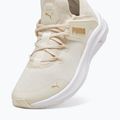 Кросівки жіночі PUMA Softride One4All Femme alpine snow/puma white/gold 12