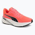 Кросівки для бігу жіночі PUMA Magnify Nitro 2 Fade pink/black