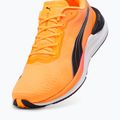 Кросівки для бігу чоловічі PUMA Electrify Nitro 3 Fade sun stream/sunset glow/puma white 12