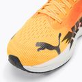 Кросівки для бігу жіночі PUMA Velocity Nitro 3 Fade sun stream/sunset glow/white 7