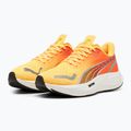 Кросівки для бігу жіночі PUMA Velocity Nitro 3 Fade sun stream/sunset glow/white 8