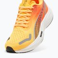 Кросівки для бігу жіночі PUMA Velocity Nitro 3 Fade sun stream/sunset glow/white 11