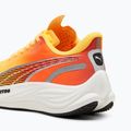 Кросівки для бігу жіночі PUMA Velocity Nitro 3 Fade sun stream/sunset glow/white 12