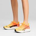 Кросівки для бігу жіночі PUMA Velocity Nitro 3 Fade sun stream/sunset glow/white 13