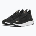 Кросівки для бігу жіночі PUMA Softride Symmetry Fuzion puma black/puma gold