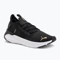 Кросівки для бігу жіночі PUMA Softride Symmetry Fuzion puma black/puma gold