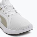 Кросівки для бігу PUMA Softride Carson puma white/desert dust 7
