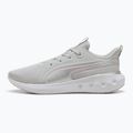 Кросівки для бігу PUMA Softride Carson cool light gray/rose mauve/puma silver