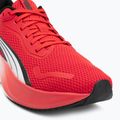 Кросівки для бігу PUMA Pounce Lite for all time red/puma white 7