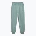 Штани чоловічі PUMA ESS No. 1 Logo Sweatpants TR CL green moon
