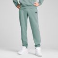 Штани чоловічі PUMA ESS No. 1 Logo Sweatpants TR CL green moon 4