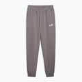 Штани чоловічі PUMA ESS No. 1 Logo Sweatpants TR CL cast iron