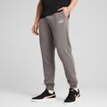 Штани чоловічі PUMA ESS No. 1 Logo Sweatpants TR CL cast iron 4