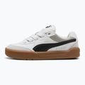 Кросівки дитячі PUMA Park Lifestyle SK8 Jr puma white/puma black/feather gray