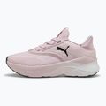 Кросівки для бігу жіночі PUMA Softride Mayve rose mauve/puma black/sun struck