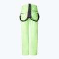 Штани лижні чоловічі BOGNER FIRE+ICE Scott 3 vibrant lime 2
