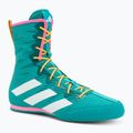 Кросівки боксерські adidas Box Hog 4 turquise