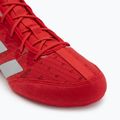 Боксерські черевики adidas Box Hog 4 red 7