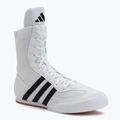 Боксерське взуття adidas Box Hog II white/black