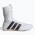 Кросівки боксерські adidas Box Hog Classic white 2